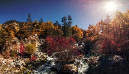 Fototapeta na wymiar Beautiful waterfall in autumn forest at sunny