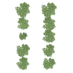 group of trees, top view, isolated on white background, 3D illustration, cg render
