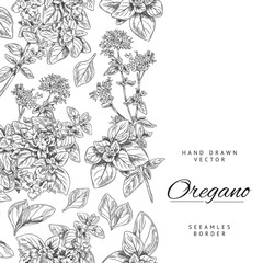 Vertical seamless border with hand drawn monochrome oregano leaves and flowers