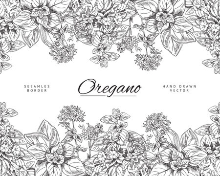 Monochrome seamless border with hand drawn oregano leaves and flowers sketch style