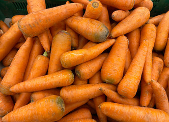 Fresh carrots in close-up. Box of carrots, new crop.