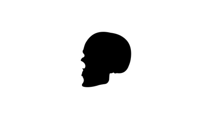 Human skull silhouette
