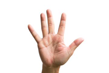 Male hand showing five fingers, front view of hand palm. Isolated.