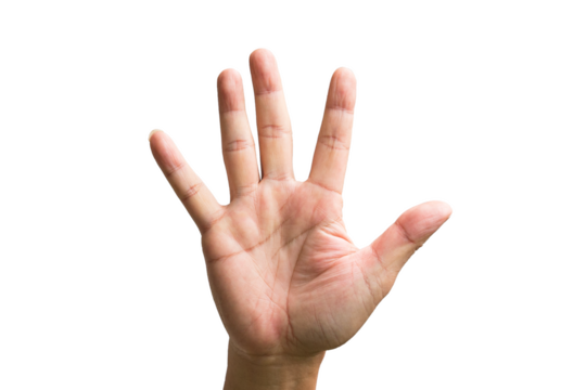 Male hand showing five fingers, front view of hand palm. Isolated.
