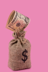 Bag with american dollar symbol and 10 dollar bill on pink background