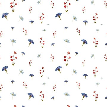 Flower blue red daisy seamless watercolor pattern