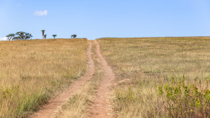 Wilderness Dirt Vehicle Tracks Horizon Hill Blue Sky Diminishing Perspective.