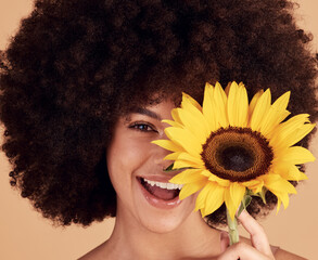 Sunflower, skincare and black woman with afro, floral beauty and happy with spring against a brown...