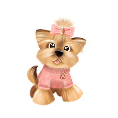 Cute Yorkshire terrier Dog in a pink sweater. Pink bow and hair dress. Puppy girl isolated illustration.