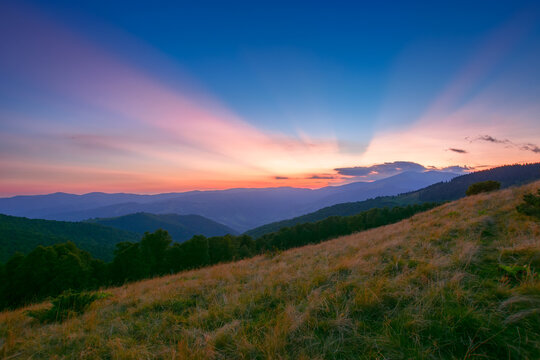 mountain landscape at dusk. beautiful nature scenery of carpathians. grassy meadows an forested hill in blue hour light