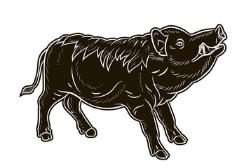 Animals. Black and white image of a large wild boar. Vector drawing.