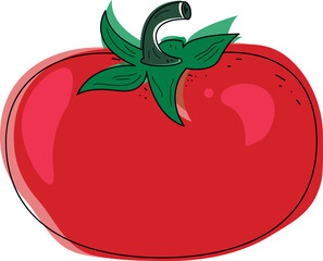 Tomato vegetable vector, vector icon vegetable