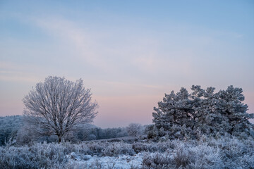 winterliche landschaft