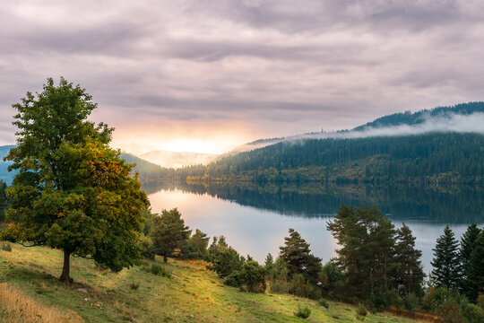 Sonnenaufgang am Schluchsee im Schwarzwald mit Nebel in der Morgensonne