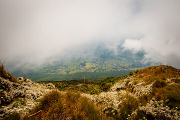 Downhill view through the mist on Muhabura Volcano, Rwanda