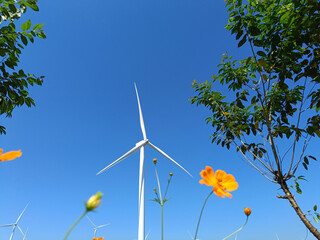 single nice windmill farm on a beautiful bright day in Khao Kho, Phetchabun