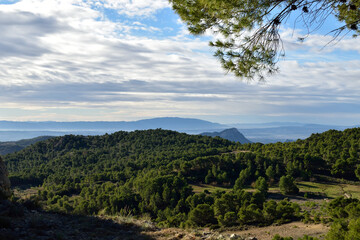 Spanish mountain scene with pine forest in the foreground