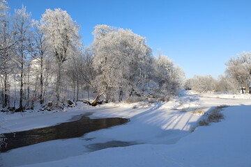 landscape with trees and snow