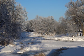 landscape with trees