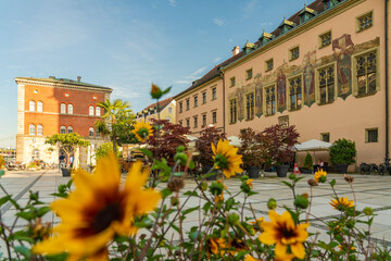 Germany, Bavaria, Passau, Flowers blooming on Rathausplatz square in summer