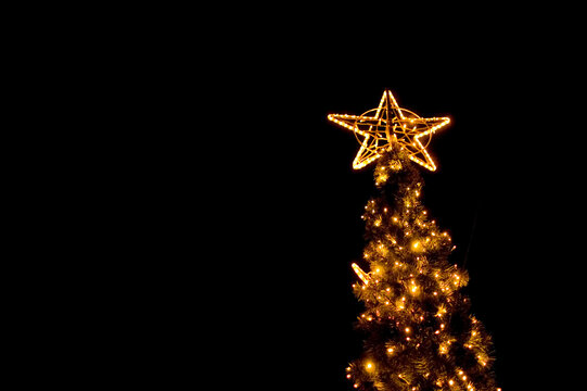 Illuminated Christmas tree in the street.