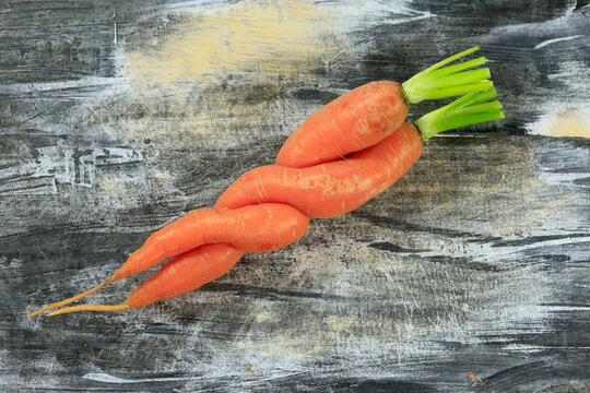 Two intertwined carrots lying on wooden surface