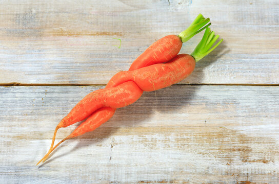 Two intertwined carrots lying on wooden surface