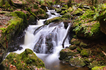 Fototapeta na wymiar A beautiful waterfall in Ravenna Gorge, Breitnau, Black Forest, Germany