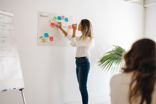 Young businesswoman presenting her ideas during a meeting