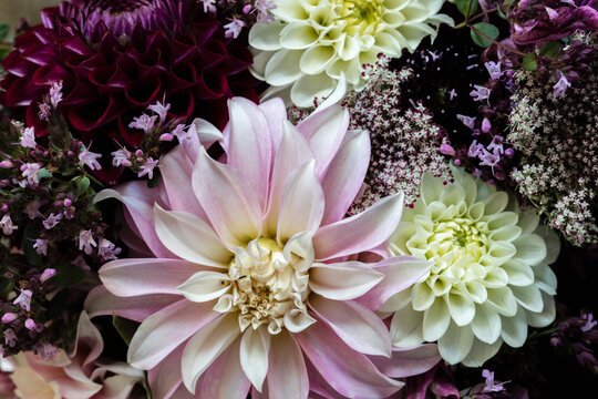 Bouquet of three varieties of dahlias mixed with other flowers