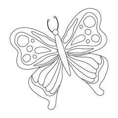 Hand drawn butterfly outline illustration