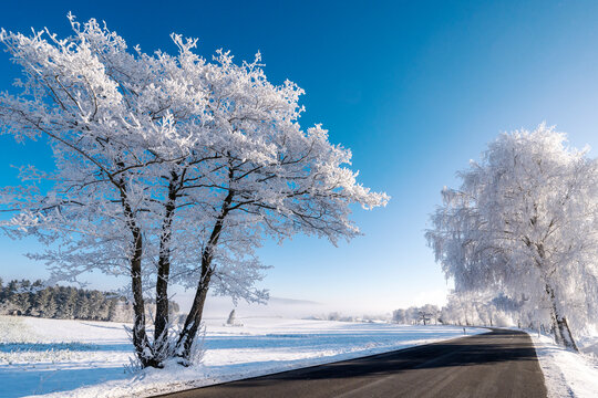 Winterallee