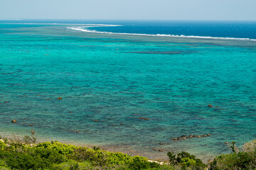 Fototapeta na wymiar サンゴ礁の海