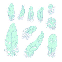 Set of silhouette isolated vector feathers