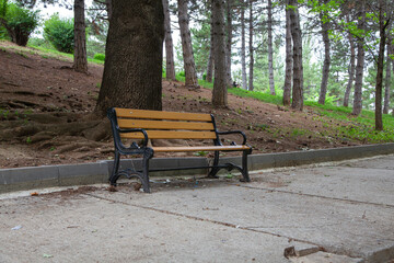 Wooden benches and chaise lounges for rest on the streets of the city and in the park, public places