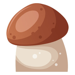 Illustration of mushroom isolated on transparent background.