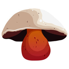 Illustration of mushroom named Rubroboletus Satanas (Satanic mushroom) isolated on transparent background.