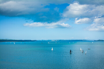 Naklejka premium Numerous sailing boats scattered across calm waters of Auckland Harbour on a beautiful winter day. North Island, New Zealand