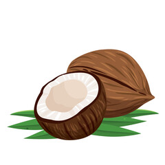 Coconuts and coconut half with leaves isolated on a white background. Vector illustration cartoon flat coconut icon isolated on white background.