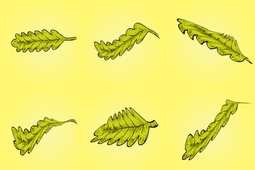 Naklejka premium Set of colorful autumn leaves and berries. Isolated on white background. Simple cartoon flat style. vector illustration.