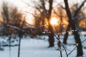 Obraz premium Beautiful winter view of the city of Dnipro during sunset or sunrise. Winter landscape. Ukrainian city. The lights of a sun. Calm nature copies the space background.