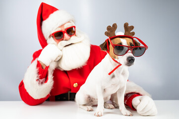 Santa claus and santa's helper in sunglasses on a white background. Jack russell terrier dog in a deer costume