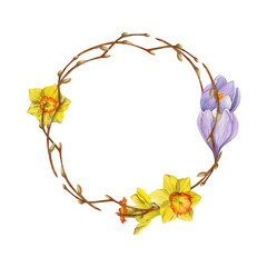 Watercolor hand drawn circle wreath with spring flowers, daffodils, crocus, snowdrops, branches Isolated on white background Design for invitations, wedding, greeting cards, wallpaper, print, textile.
