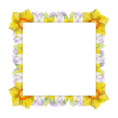 Watercolor hand drawn square frame with spring flowers, crocus, snowdrops, daffodils, leaves. Isolated on white background. Design for invitations, wedding, greeting cards, wallpaper, print, textile.