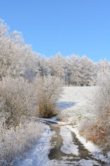 Idyllic landscape scene with hiking path and frozen snow covered trees in a forest in the rural countryside in Germany, Europe