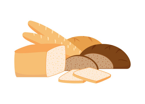 Pastry bread from wheat, whole grain and rye, bakery food set. White loaf, brown bread, toast bread, french baguette. Vector illustration