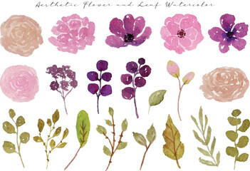 a set of elegant wild flower and leaf watercolor