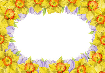 Watercolor hand drawn circle wreath with spring flowers, daffodils, crocus, snowdrops, leaves. Isolated on white background. Design for invitations, wedding, greeting cards, wallpaper, print, textile.