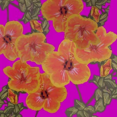 Zelfklevend Fotobehang Yellow and Pink Hibiscus with Purple Background © Christine