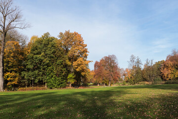 Fototapeta na wymiar Picturesque view of park with beautiful trees and green grass on sunny day. Autumn season